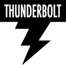 Thunderbolt black logo 2024